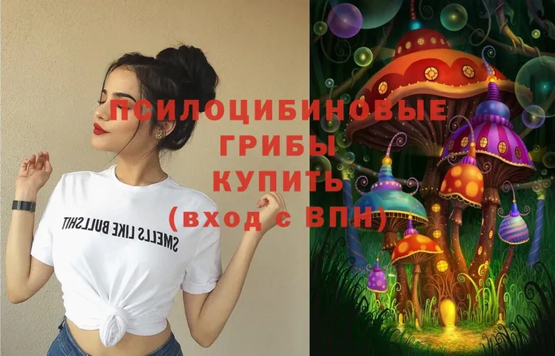 Галлюциногенные грибы Psilocybe  Кириллов 